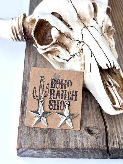 Western Style Dangle Earrings
